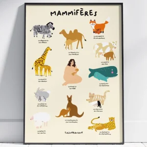 Mammals Poster